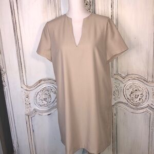 AEL Amy Enjoy Life Minimalist Short Sleeved Deep V Neck Full Cut Sheath Dress